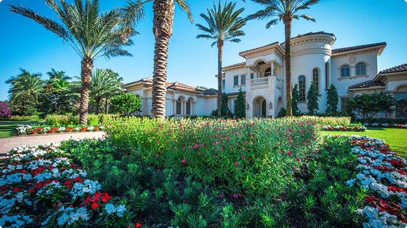 beautiful landscaped yard