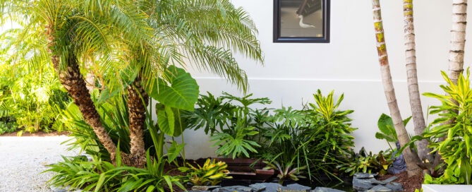 Tropical plantings